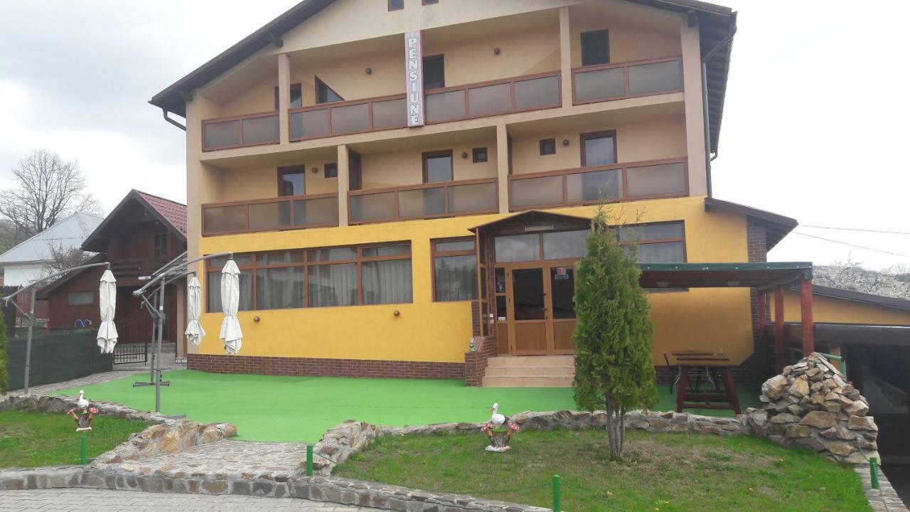 Pensiunea Nicol Hotel Valea Iasului Exterior photo